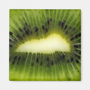 Kiwi Fruit Magnet