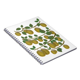 Kiwi Fruit Notizblock