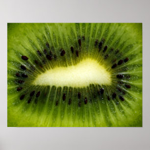 Kiwi Fruit Poster