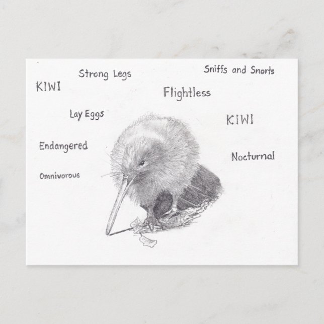 Kiwi geht spazieren postkarte (Vorderseite)