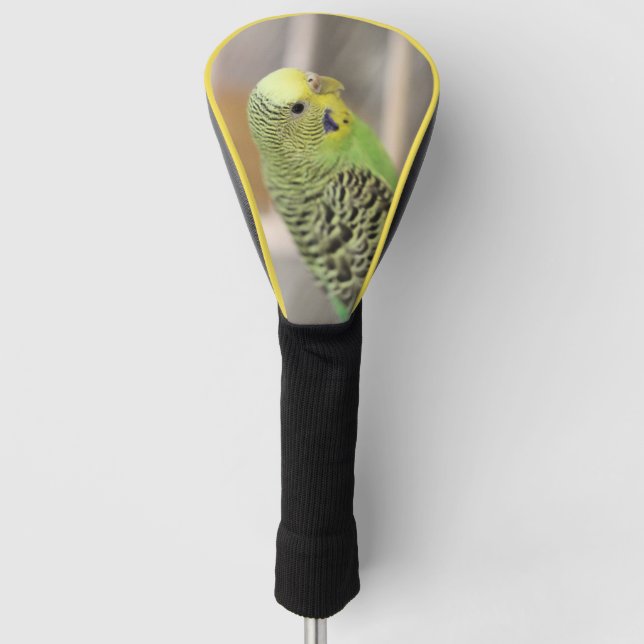 Kiwi  golf headcover (Vorderseite)