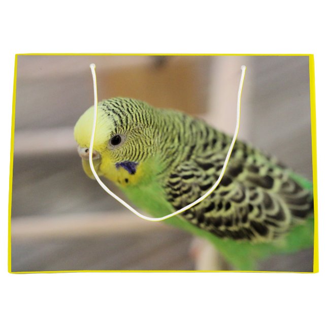 Kiwi Große Geschenktüte (Vorderseite)