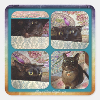 Kiwi in einer Box, Reihe 1, vier Bilder Quadratischer Aufkleber