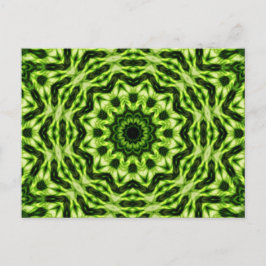 Kiwi Kaleidoscope Postkarte