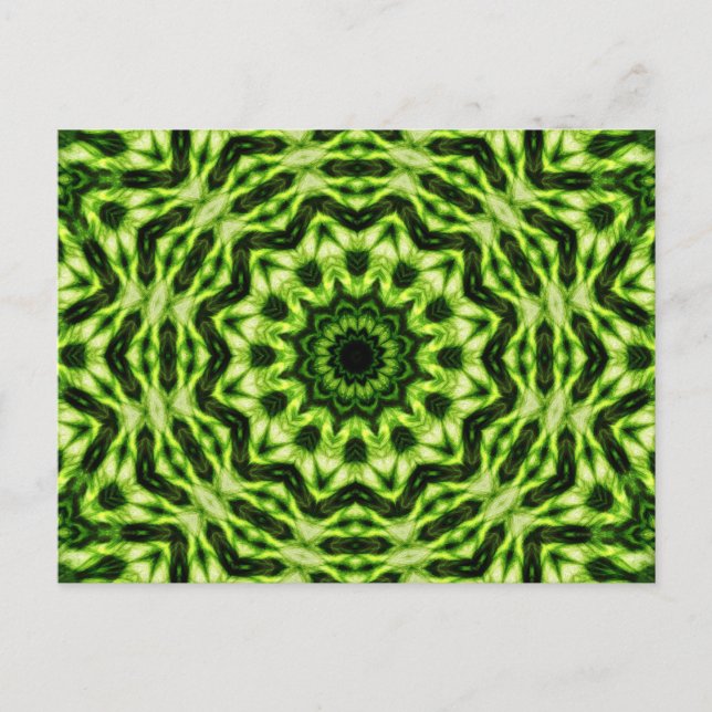 Kiwi Kaleidoscope Postkarte (Vorderseite)