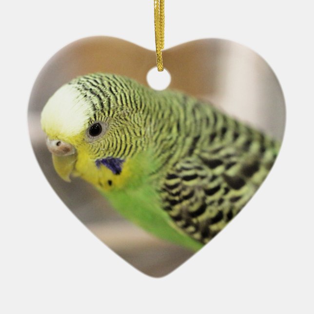 Kiwi Keramik Ornament (Vorne)
