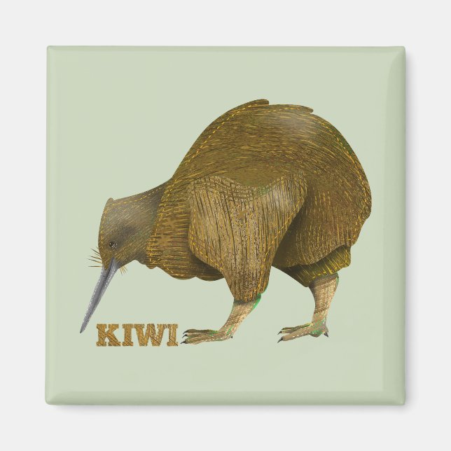 Kiwi N.Z. Bird Magnet (Vorne)