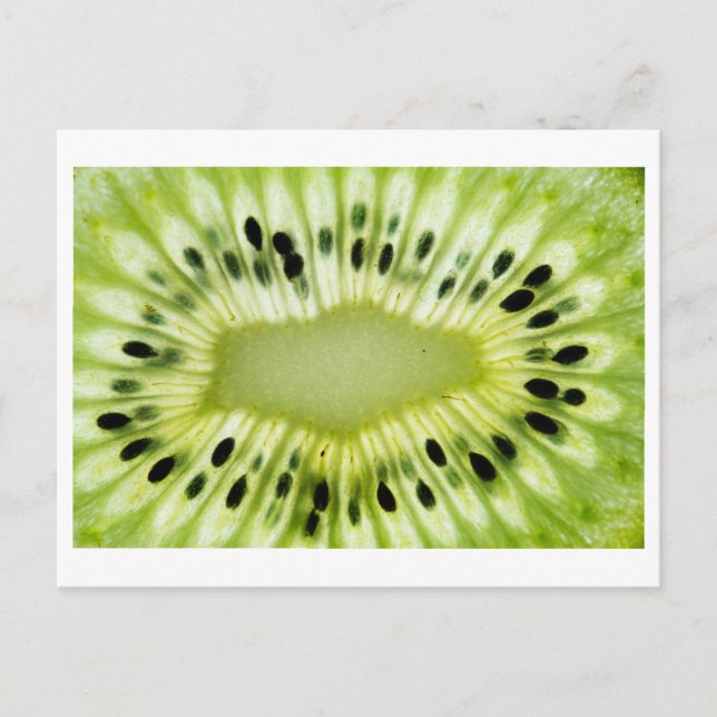 Kiwi Nah-up Foto Postkarte (Vorderseite)