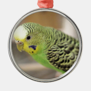 Kiwi Ornament Aus Metall