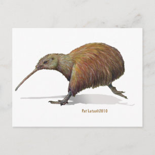 Kiwi Postkarte