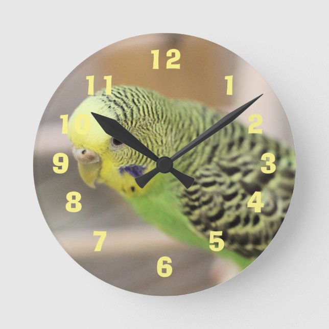 Kiwi Runde Wanduhr (Vorderseite)