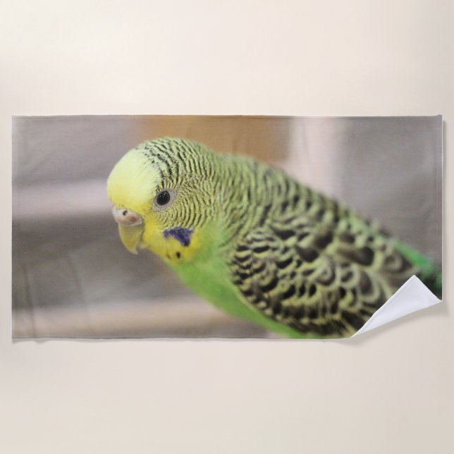 Kiwi Strandtuch (Vorderseite)