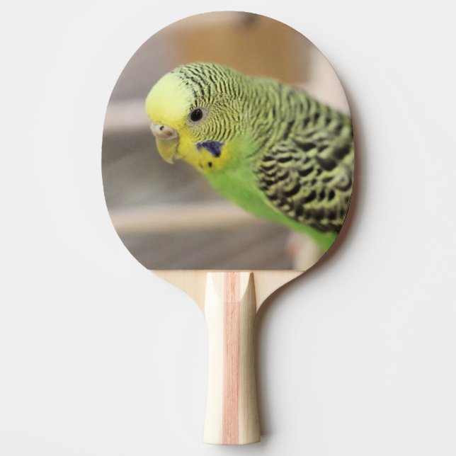 Kiwi Tischtennis Schläger (Vorderseite)