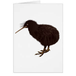 Kiwi-Vogel