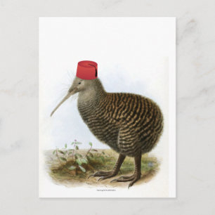 Kiwi-Vogel mit Fez Absurd Vintage Postkarte
