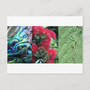 Kiwiana-Farn Paua Pohutukawa Postkarte