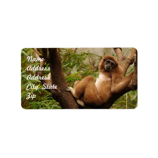 Klammer Adressaufkleber (Vorne)