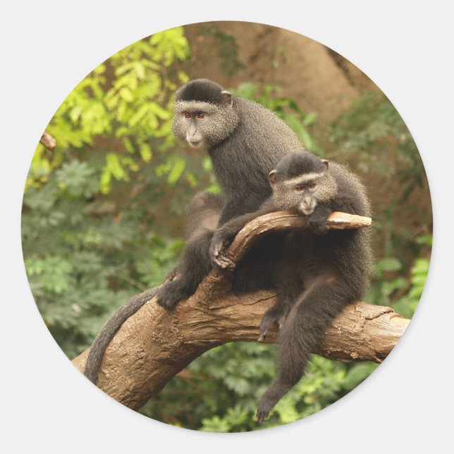 Klammer Runder Aufkleber (Vorderseite)