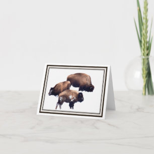Klapp-Grußkarte - Bison im Winter Karte