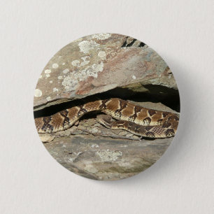 Klapperschlange im Shenandoah National Park Button
