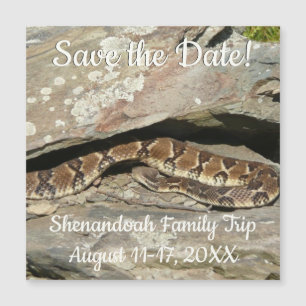 Klapperschlange im Shenandoah National Park Magnetkarte