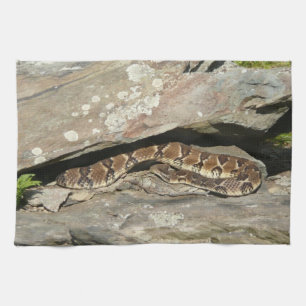 Klapperschlange im Shenandoah-Nationalpark Geschirrtuch