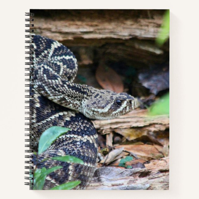 Klapperschlange in freier Wildbahn Notizbuch (Vorderseite)