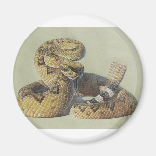 Klapperschlange Magnet