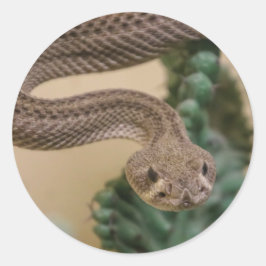 Klapperschlange Runder Aufkleber