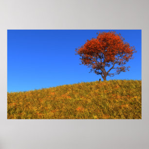 Klare Herbsttag-Druck Poster