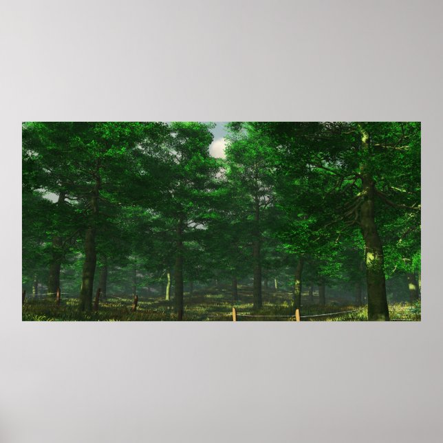Klarheit der Natur - Extrem Poster (Vorne)