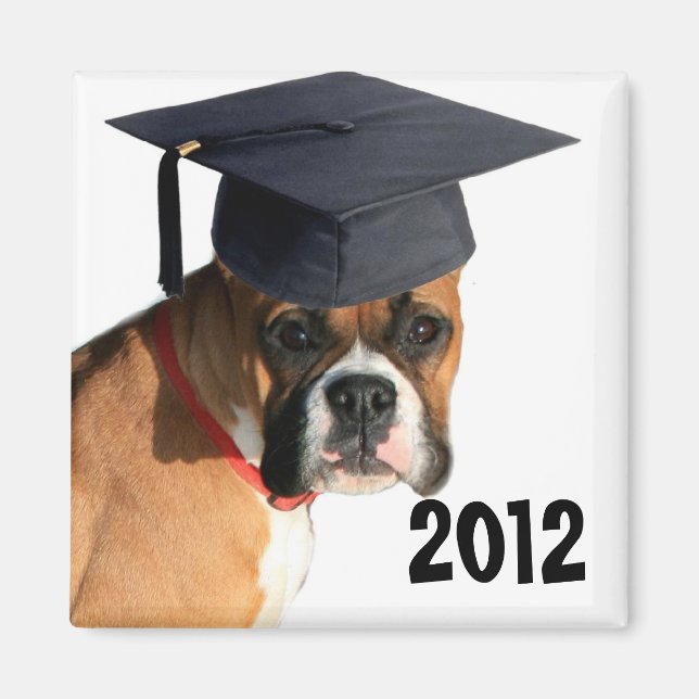 Klasse des Boxer-Graduiertenmagnet 2012 Magnet (Vorne)
