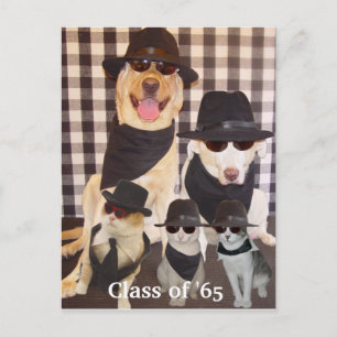 Klassen-Wiedersehen-Einladung Einladungspostkarte