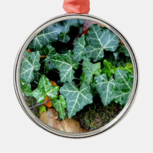 Klassik English Ivy and field stone Silbernes Ornament