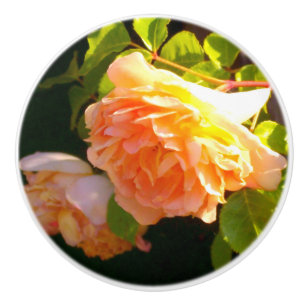 Klassisch orange pfirsichfarbene Rose Keramikknauf