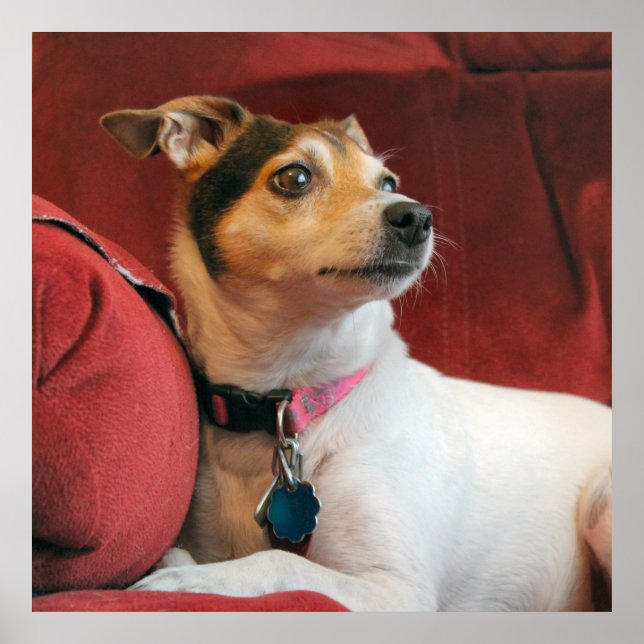 klassisch poster (Vorne)