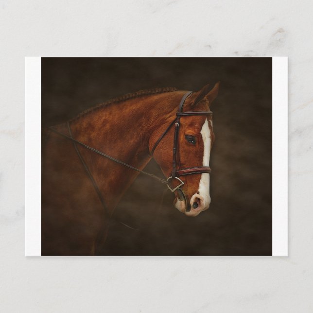 klassisch postkarte (Vorderseite)