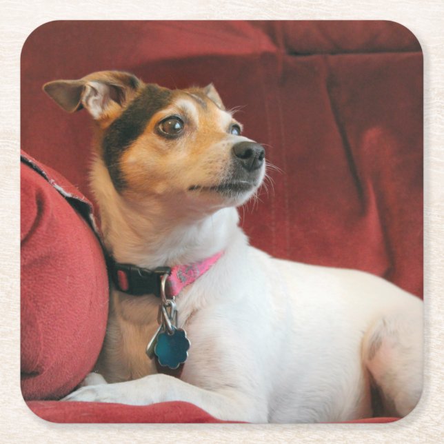 klassisch rechteckiger pappuntersetzer (Vorderseite)