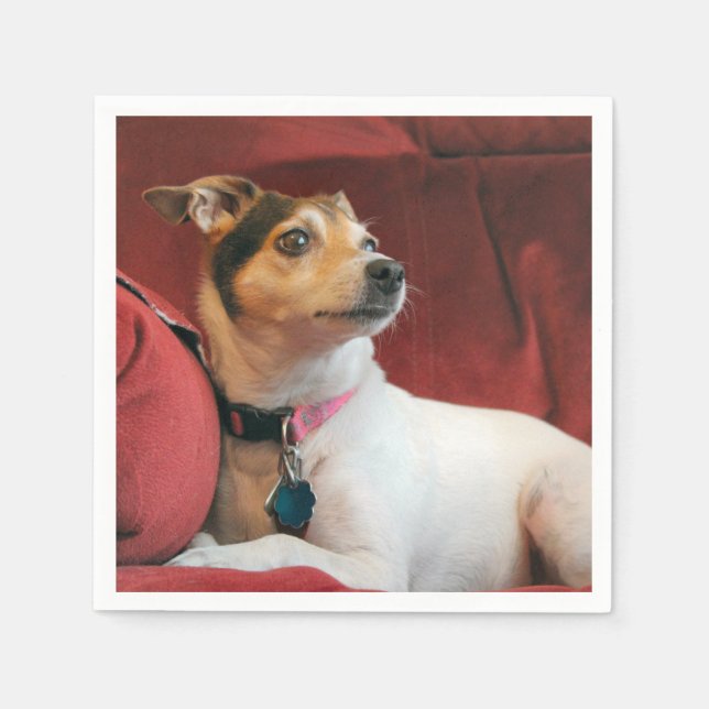 klassisch serviette (Vorderseite)