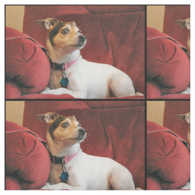 klassisch stoff (Nahaufnahme)