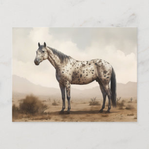 Klassische amerikanische Appaloosa-Pferdepostkarte Postkarte
