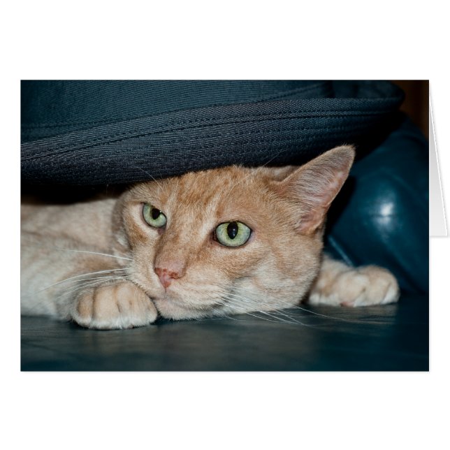 Klassische Coole Katze (Vorderseite (Horizontal))