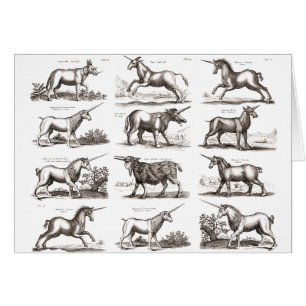 Klassische Einhorn Antike Mythische Magische Kreat