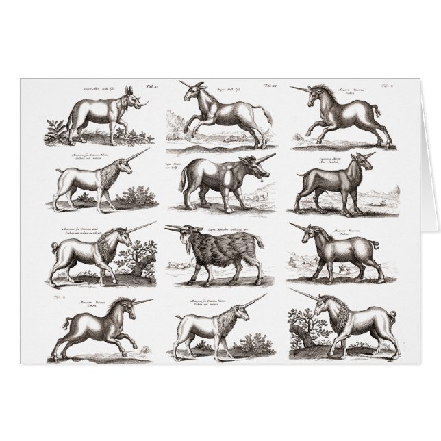 Klassische Einhorn Antike Mythische Magische Kreat (Vorderseite (Horizontal))