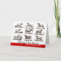 Klassische Einhorn Antike Mythische Magische Kreat