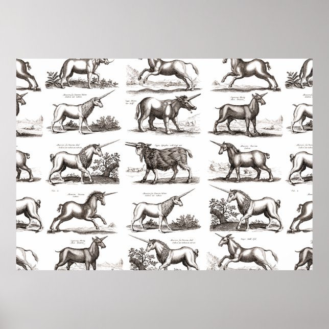 Klassische Einhorn Antike Mythische Magische Kreat Poster (Vorne)