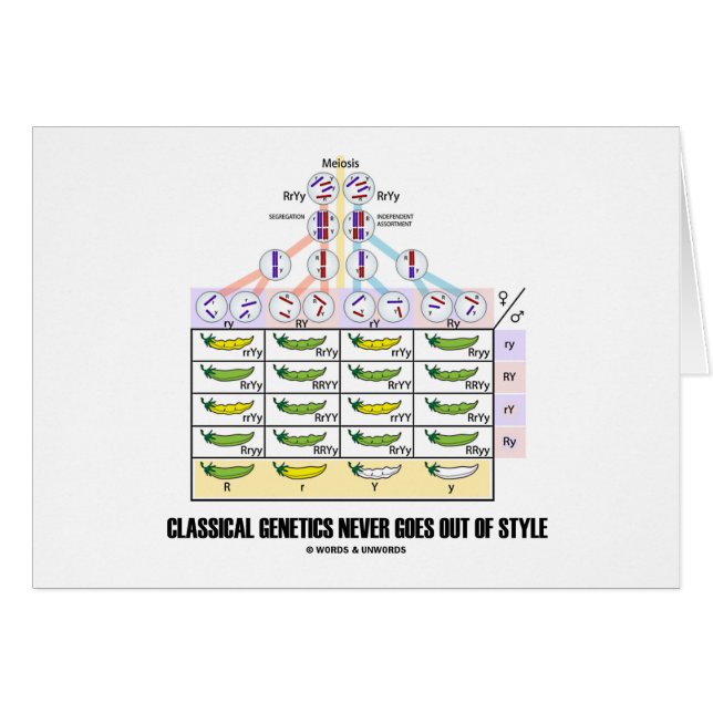 Klassische Genetik erlischt nie von der Art (Vorderseite (Horizontal))