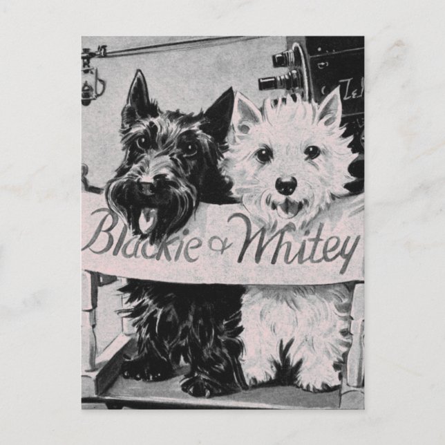 * Klassische Hübsche Poochies Rosa Postkarte * (Vorderseite)