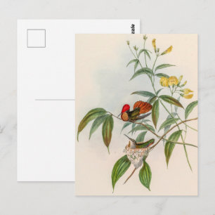 Klassische Kolibris von John Gould Postkarte