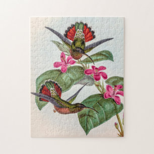 Klassische Kolibris von John Gould Puzzle